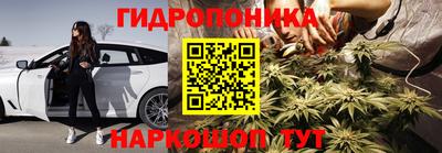 jwh Кингисепп