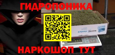 амф Кимры