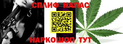 jwh Кингисепп