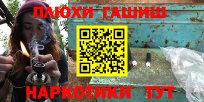 jwh Кингисепп