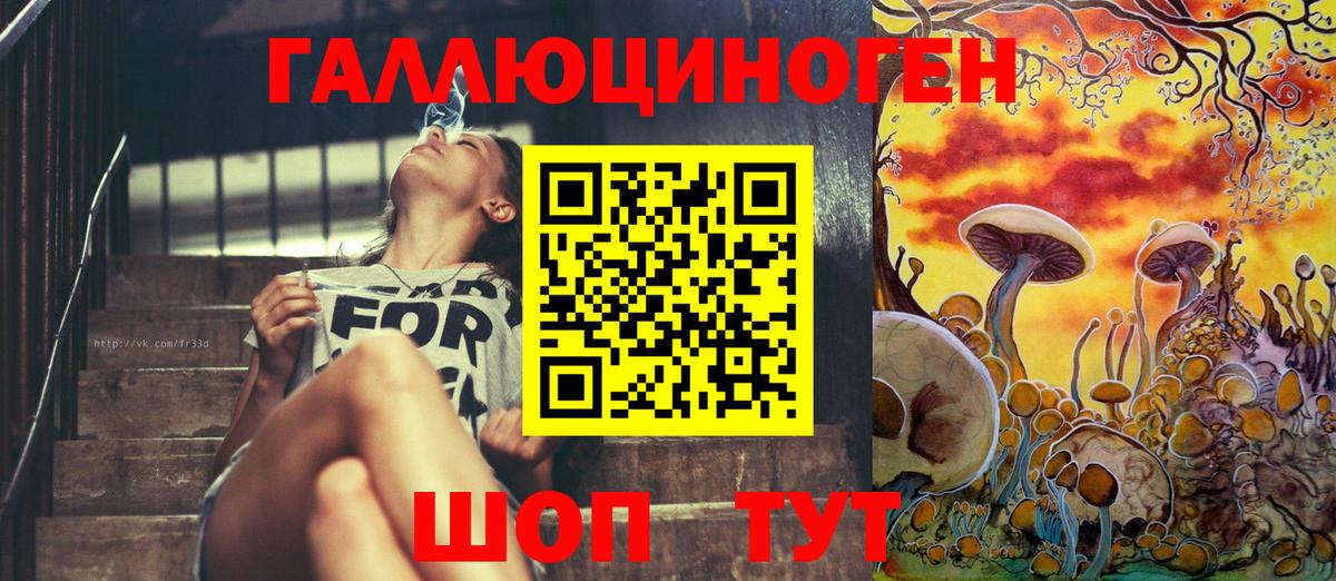 Псилоцибиновые грибы Psilocybe Коркино