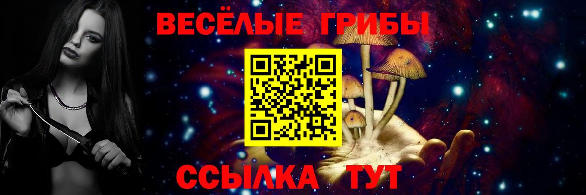 Псилоцибиновые грибы ЛСД  Вход с VPN  Коркино  Псилоцибиновые грибы мицелий 